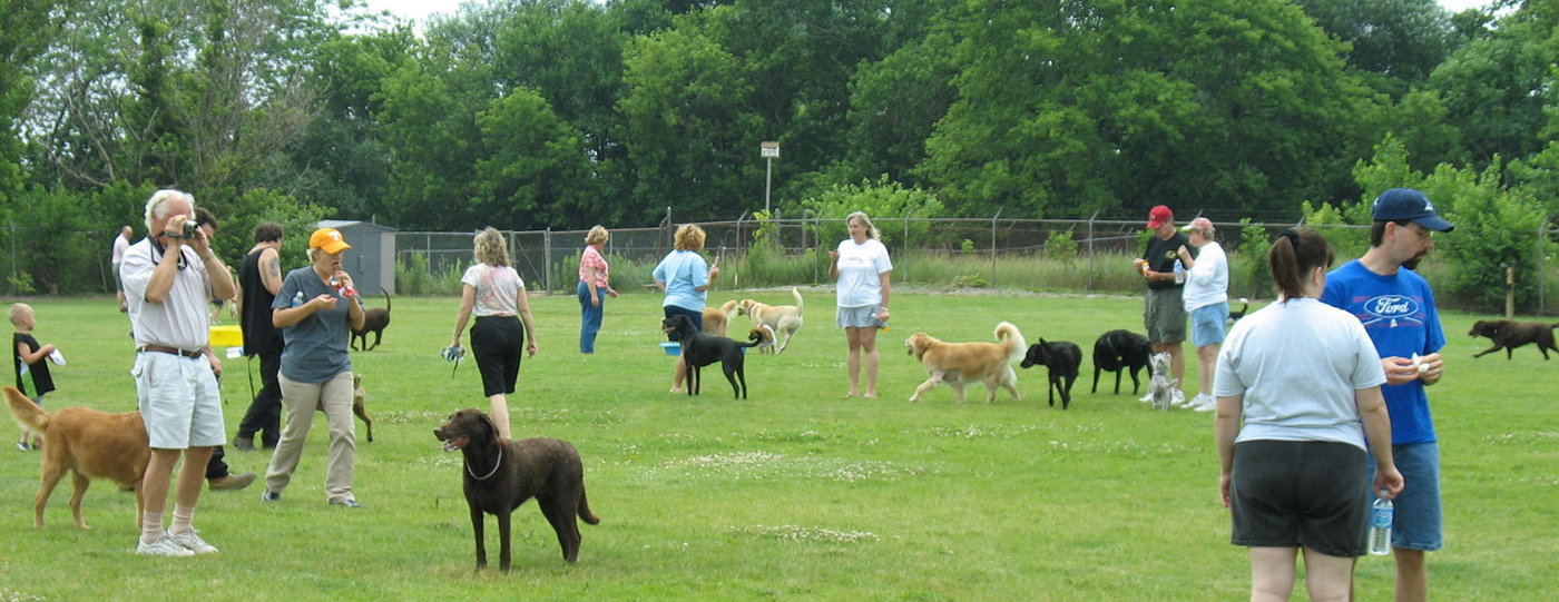 Pine Lake Kennels , dog, breeder, usda,Pine Lake Kennels , dog-breeder, sayre, ok, oklahoma, for, sale, puppies, puppy, pups, inspected, inspection, r